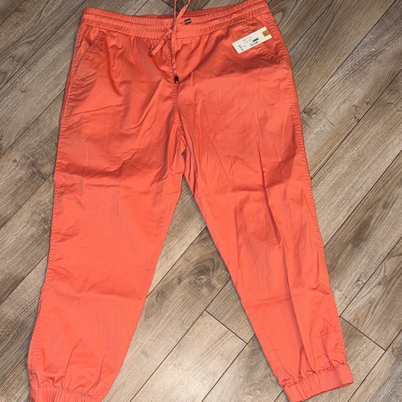 Land N Sea Pants - Coral Jogger Pants